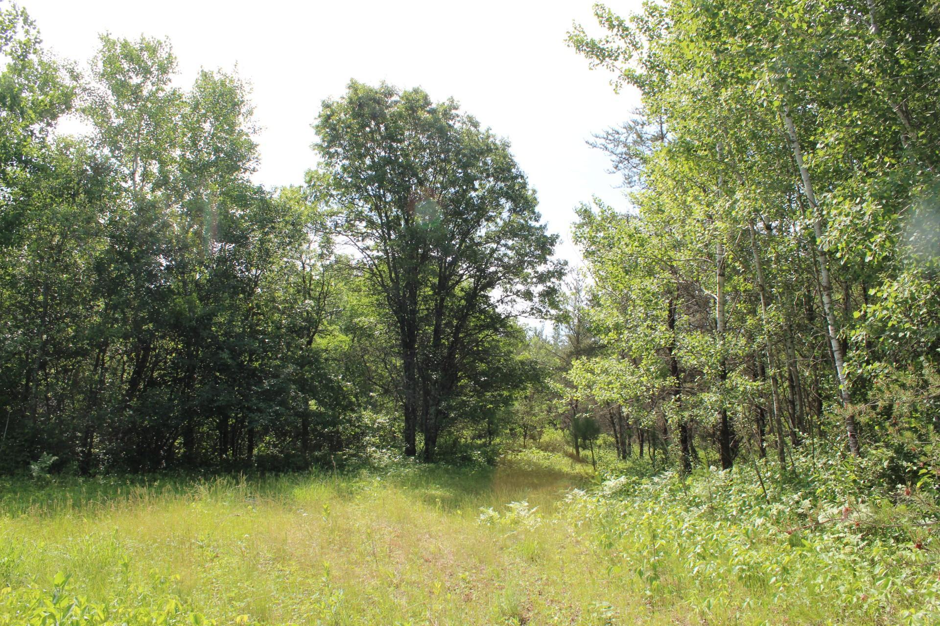 Xxx Anderson Road Grantsburg, WI 54840 - Photo 14 of 27