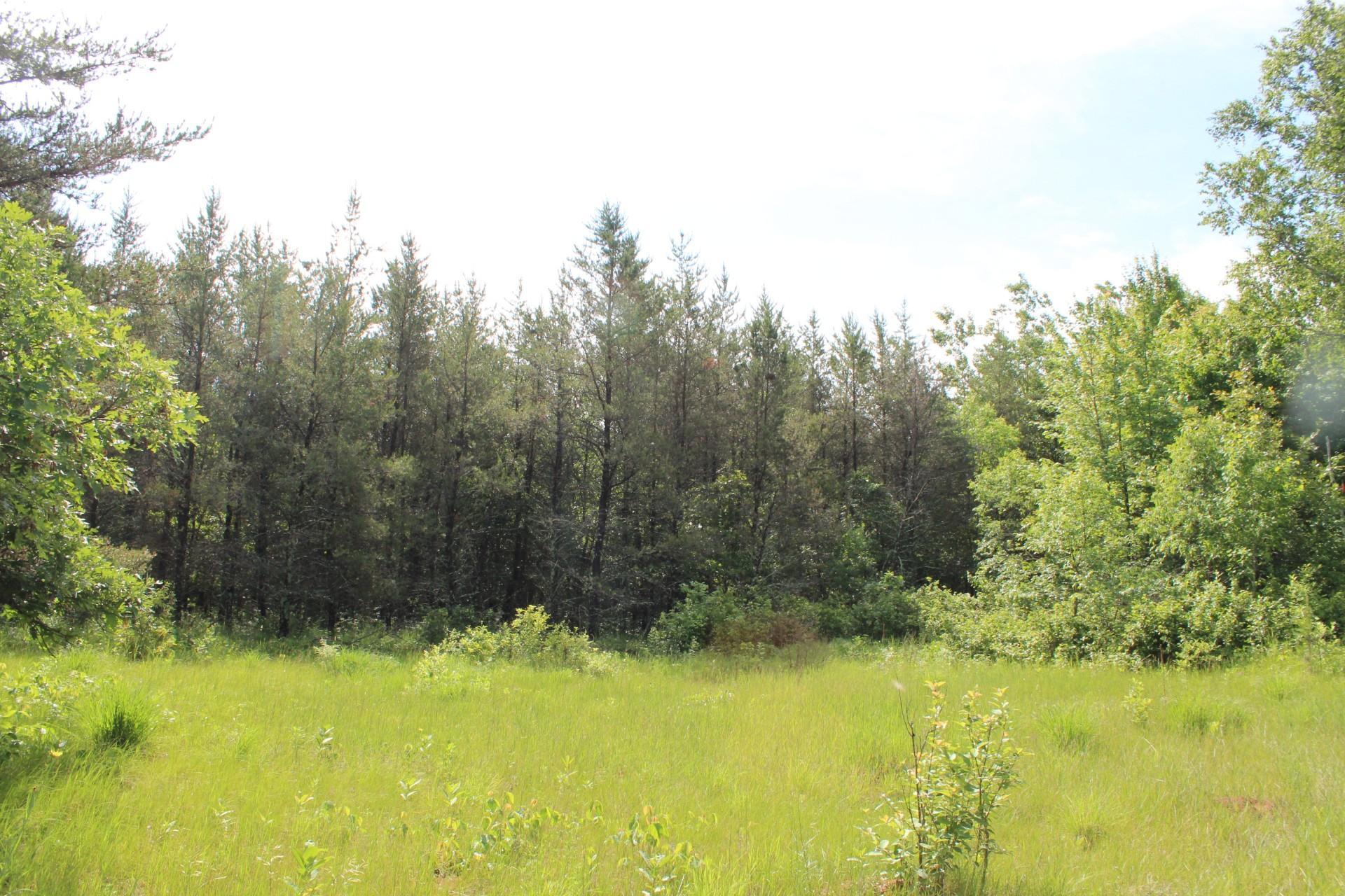 Xxx Anderson Road Grantsburg, WI 54840 - Photo 16 of 27