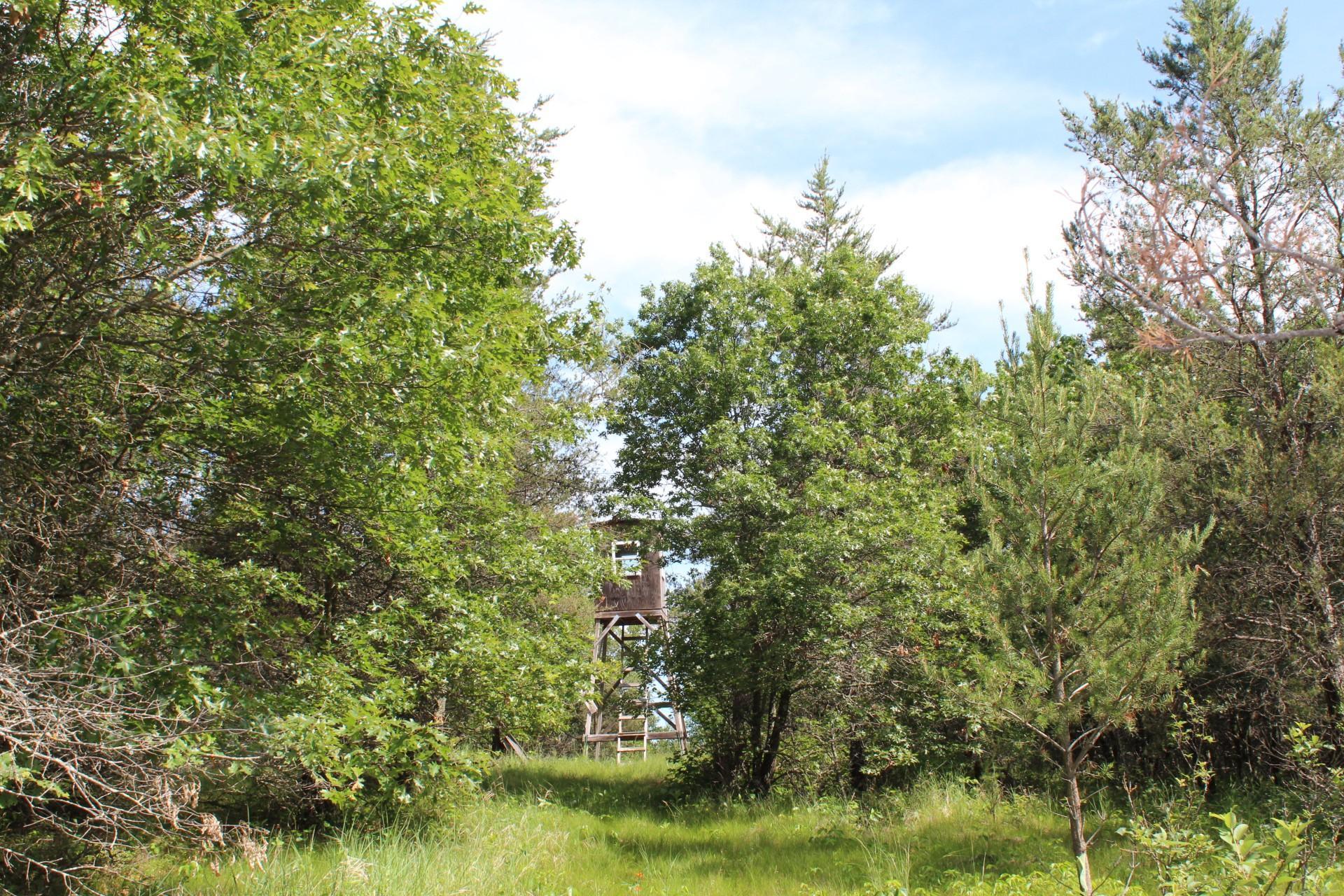 Xxx Anderson Road Grantsburg, WI 54840 - Photo 18 of 27