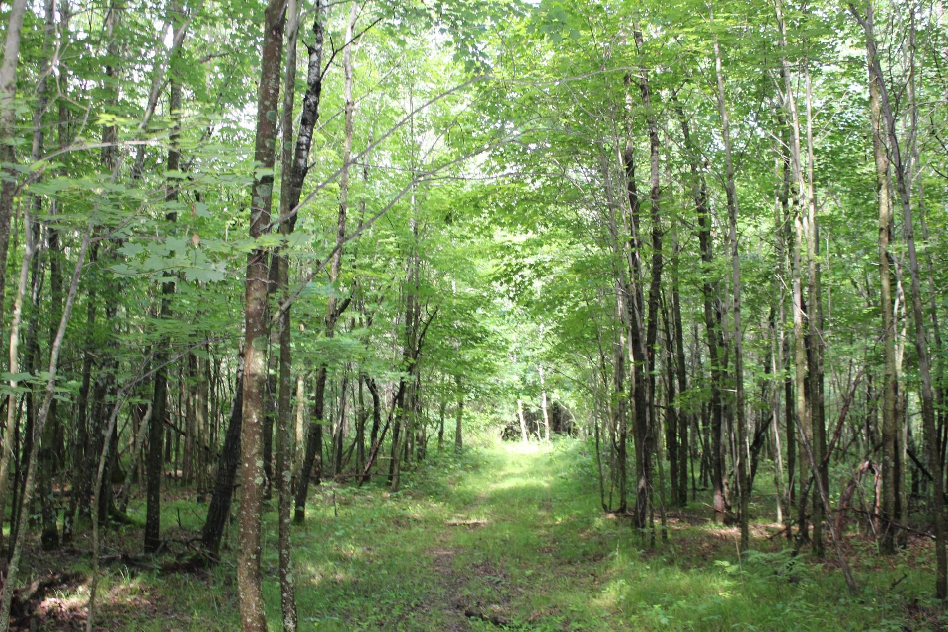 Xxx Anderson Road Grantsburg, WI 54840 - Photo 27 of 27