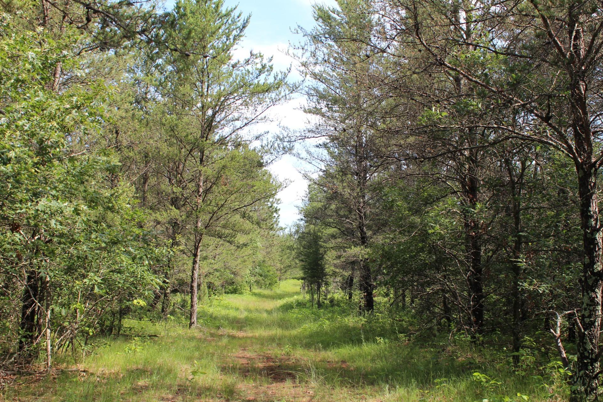 Xxx Anderson Road Grantsburg, WI 54840 - Photo 6 of 27