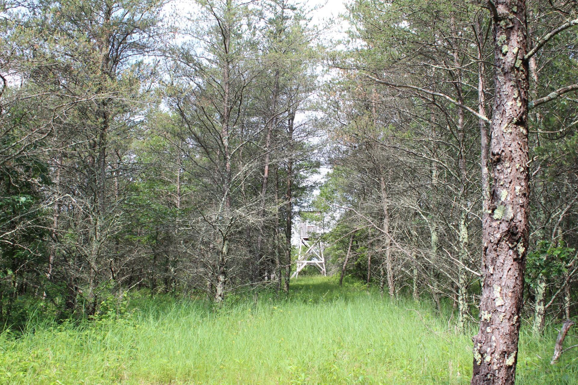 Xxx Anderson Road Grantsburg, WI 54840 - Photo 7 of 27