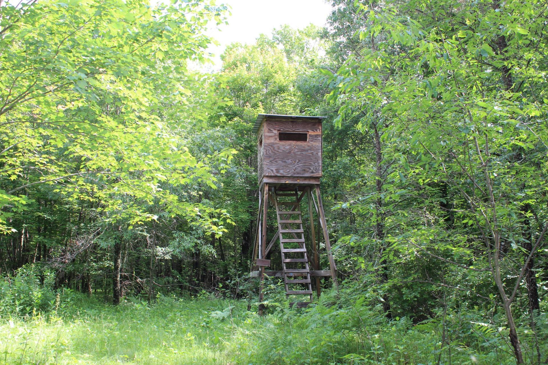 Xxx Anderson Road Grantsburg, WI 54840 - Photo 8 of 27