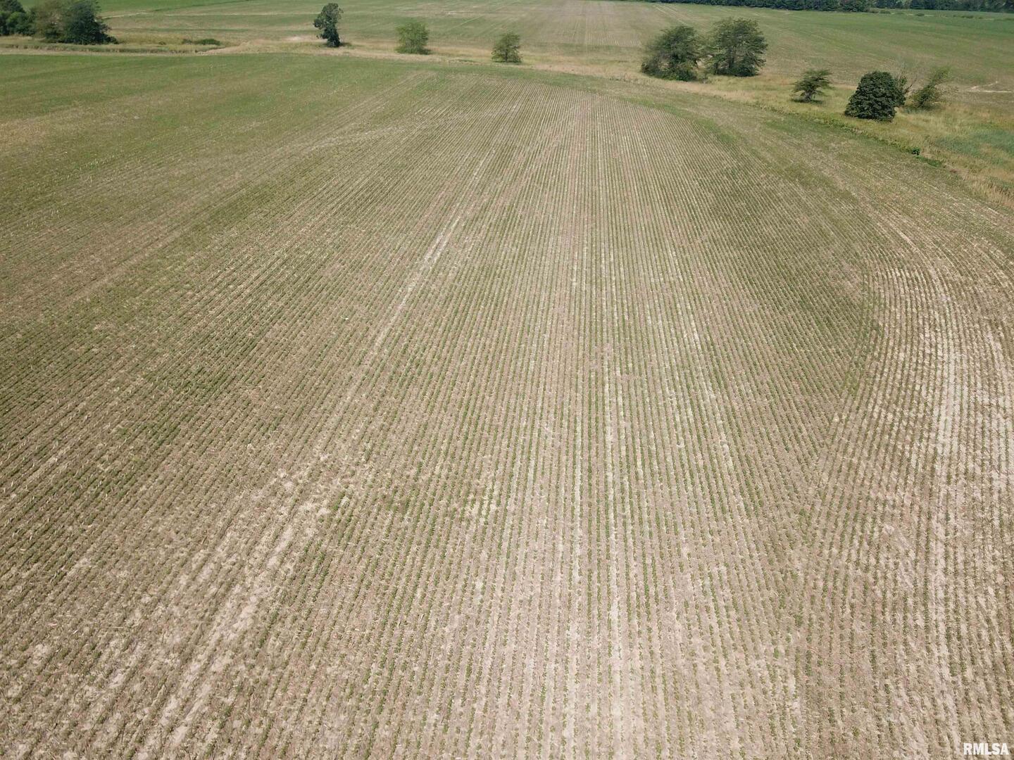 0 North Stanford Road Flora, IL 62839 - Photo 11 of 25