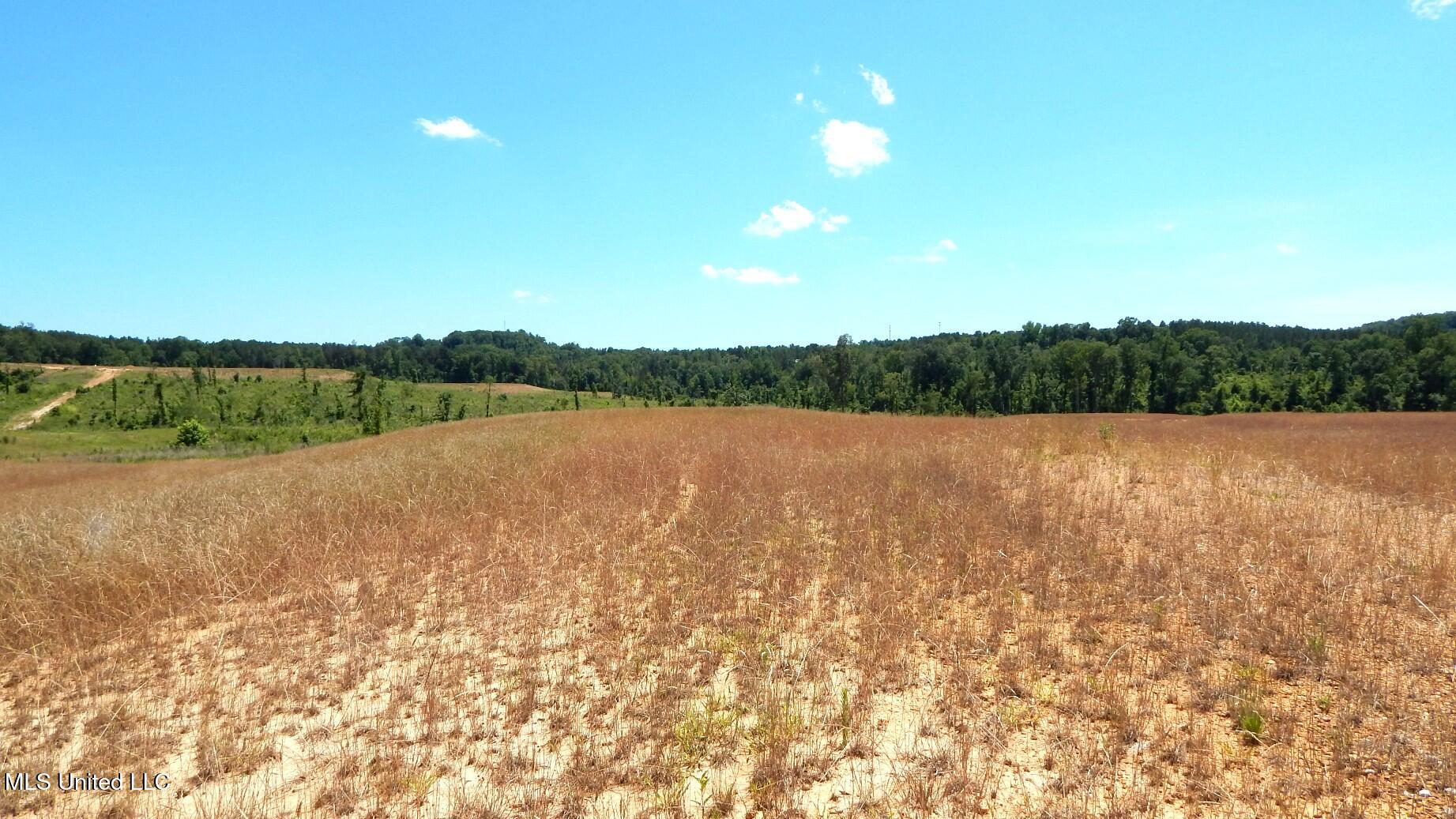 209 Hugh White State Pk Road Grenada, MS 38901 - Photo 2 of 14 DSCN6927