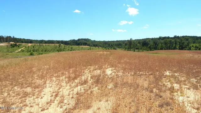 $82,900 | 209 Hugh White State Pk Road, Grenada, MS 38901