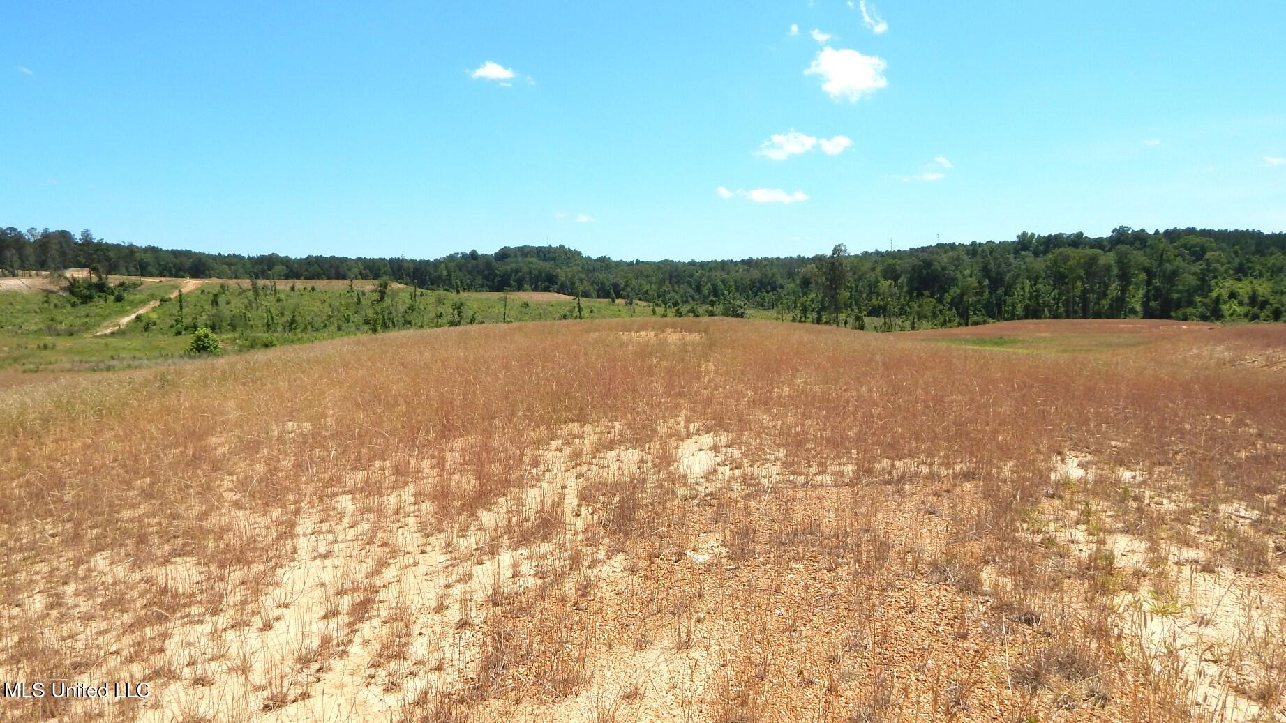 209 Hugh White State Pk Road Grenada, MS 38901 - Photo 3 of 14 DSCN6929