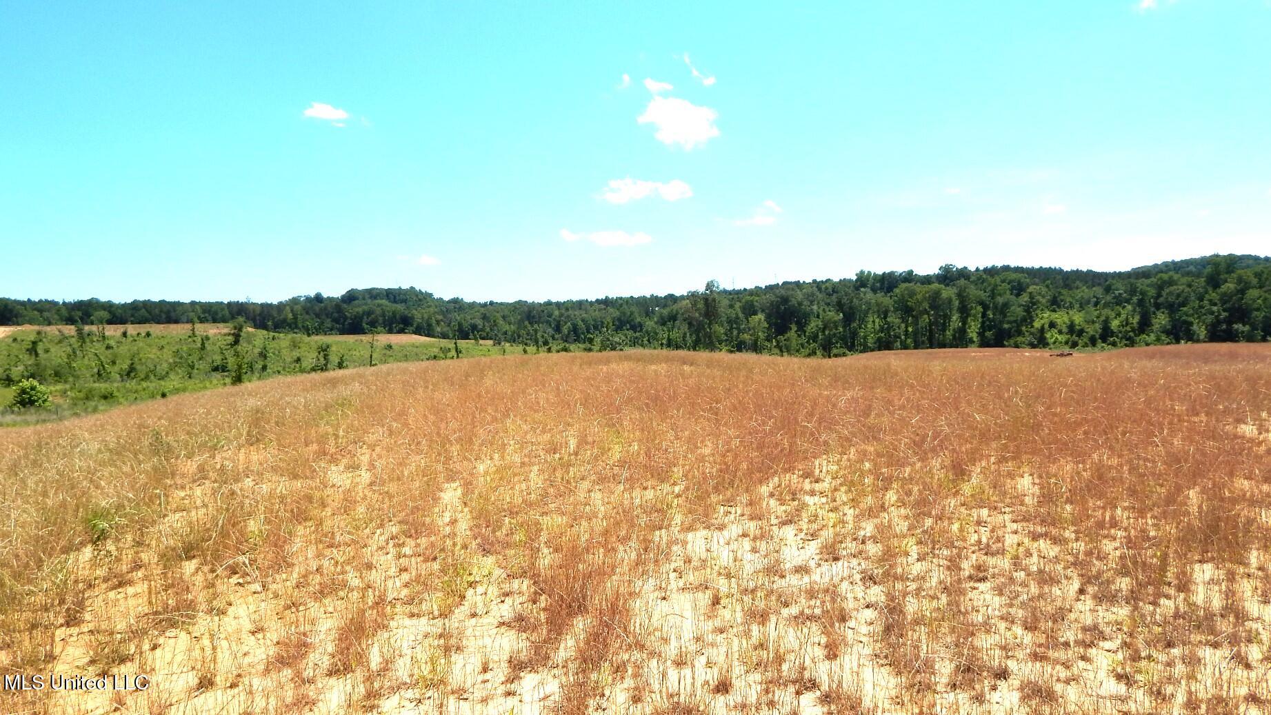 209 Hugh White State Pk Road Grenada, MS 38901 - Photo 4 of 14 DSCN6930