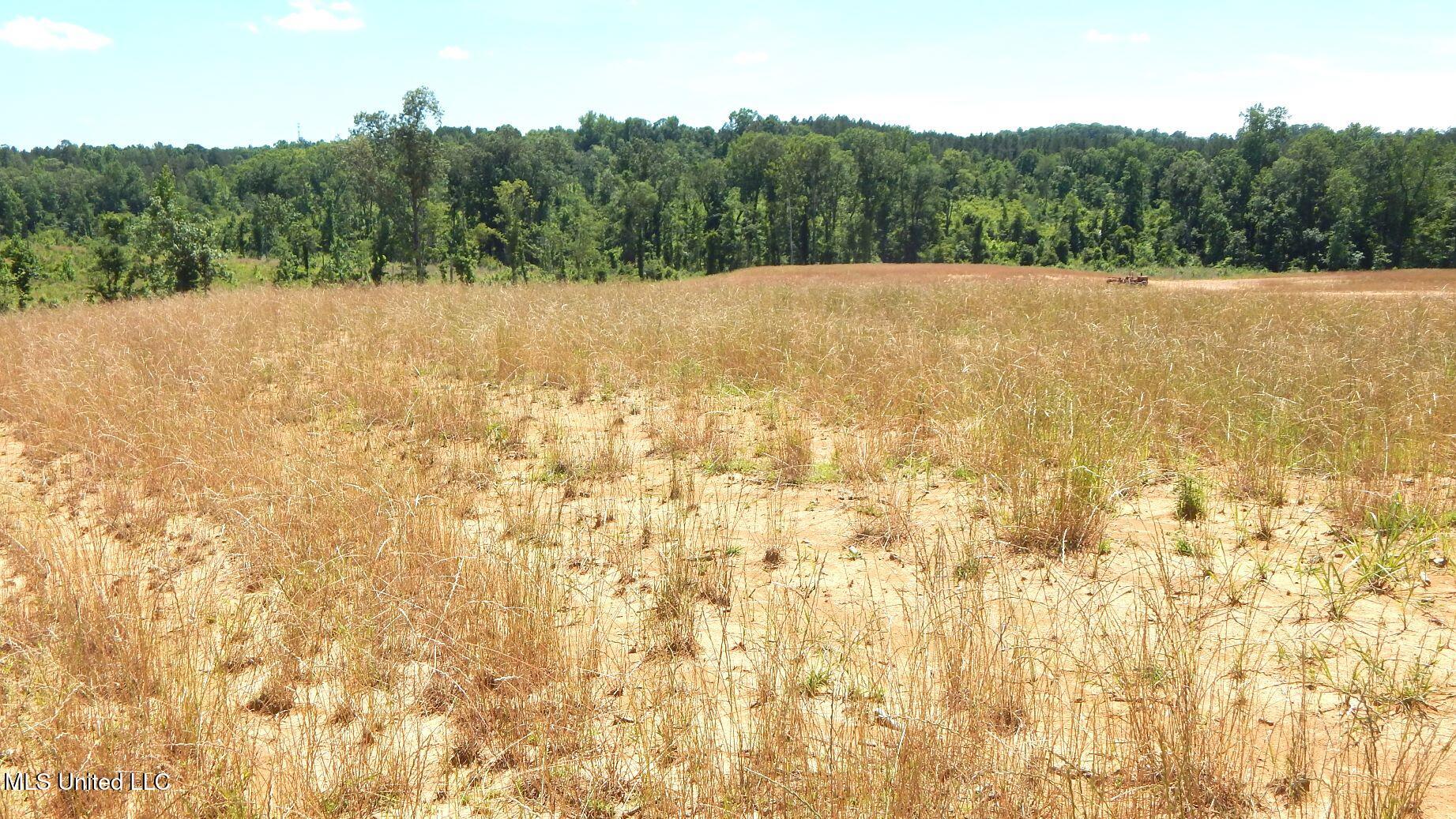 209 Hugh White State Pk Road Grenada, MS 38901 - Photo 5 of 14 DSCN6933