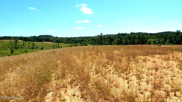 $82,900 | 209 Hugh White State Pk Road, Grenada, MS 38901