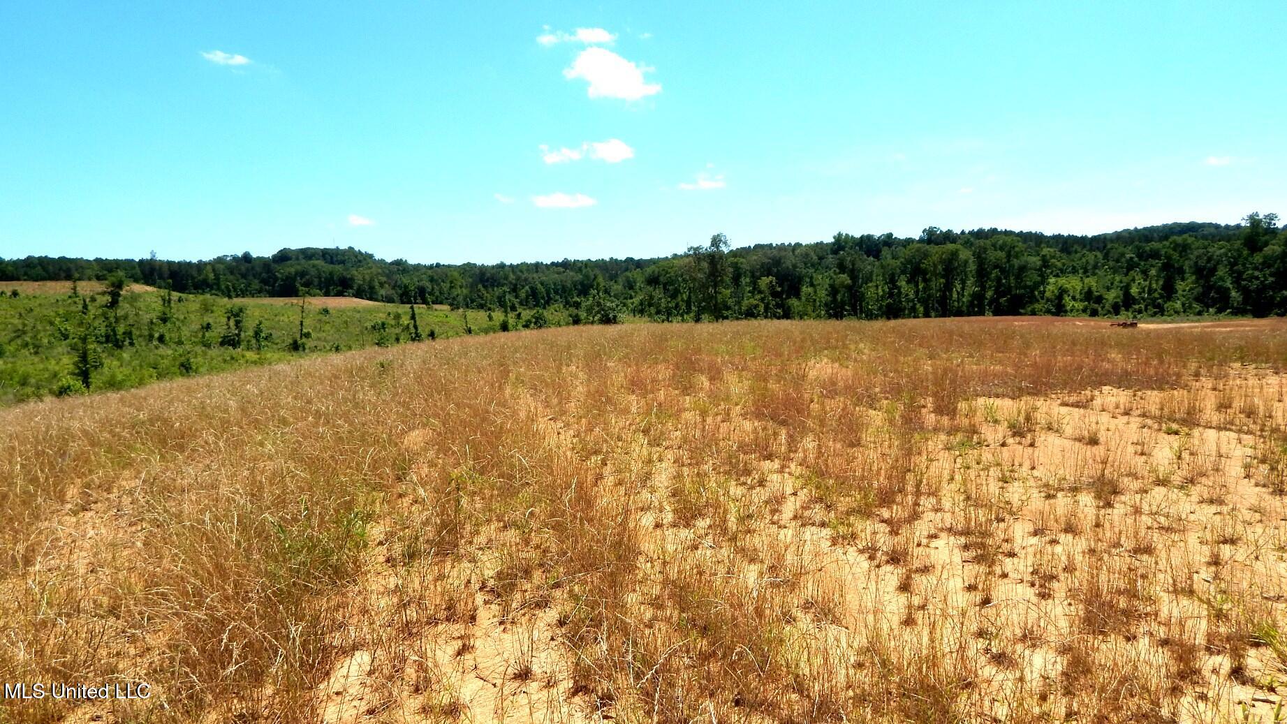 209 Hugh White State Pk Road Grenada, MS 38901 - Photo 6 of 14 DSCN6931