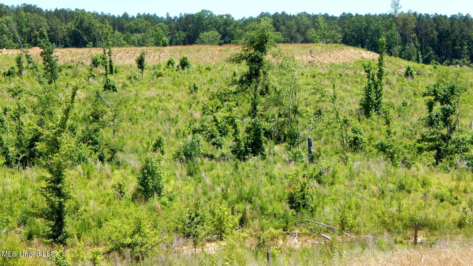 209 Hugh White State Pk Road Grenada, MS 38901 - Photo 7 of 14 DSCN6932