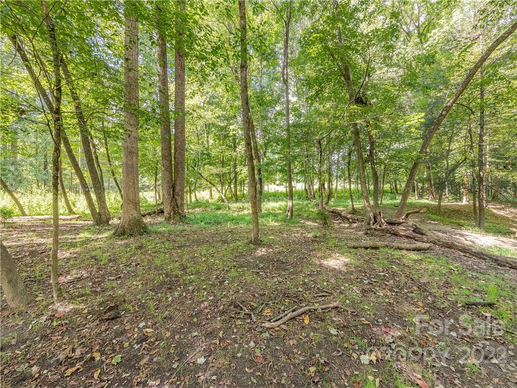 584 Wike Cemetery Road Cullowhee, NC 28723 - Photo 30 of 45 Gallery Image 30