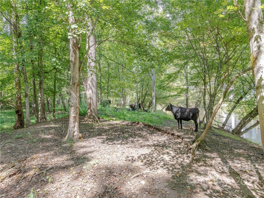 584 Wike Cemetery Road Cullowhee, NC 28723 - Photo 31 of 45 Gallery Image 31