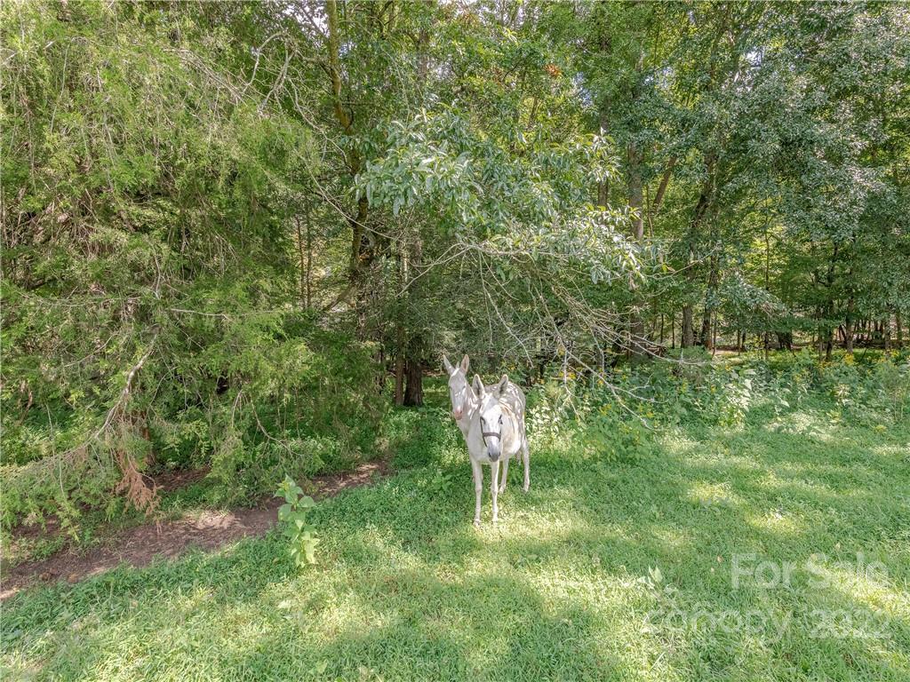 584 Wike Cemetery Road Cullowhee, NC 28723 - Photo 33 of 45 Gallery Image 33