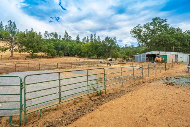 a living room with furniture kitchen view and a flat screen tv