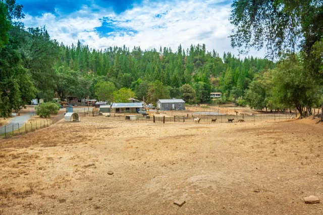 a view of swimming pool with outdoor seating and trees in the background