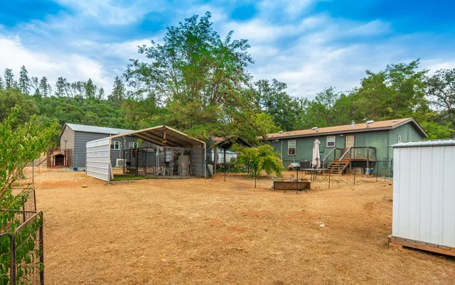 a view of a yard with plants and large trees