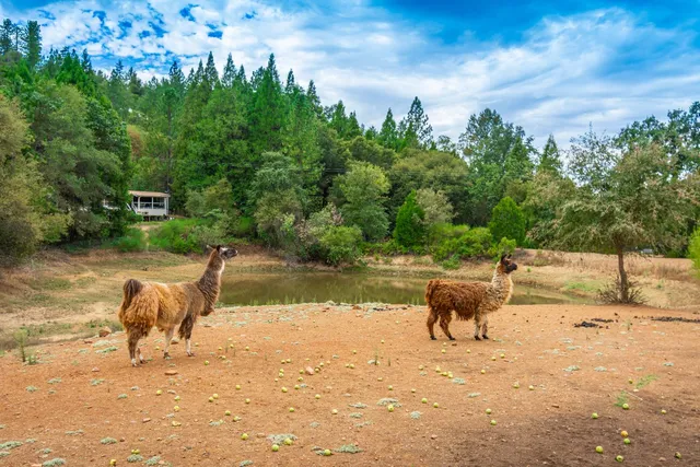 a view of a road with plants and trees