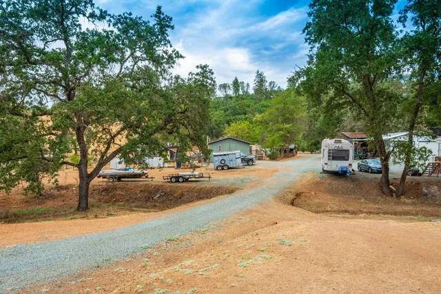 a view of a yard with trees