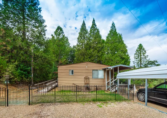 a view of a yard with plants and large trees