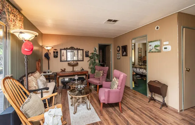 a view of a yard with plants and large trees