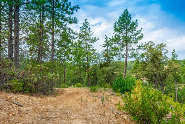 $999,000 | 18000 West Clinton Road, Jackson, CA 95642