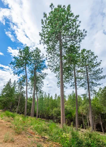 $999,000 | 18000 West Clinton Road, Jackson, CA 95642