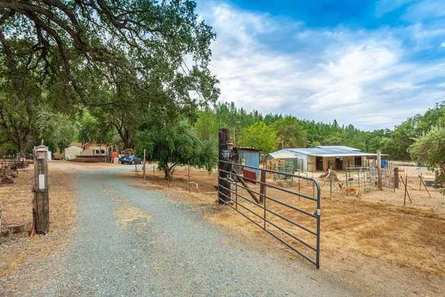 a view of a backyard of the house