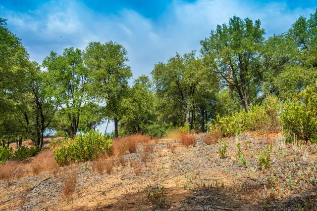 $999,000 | 18000 West Clinton Road, Jackson, CA 95642