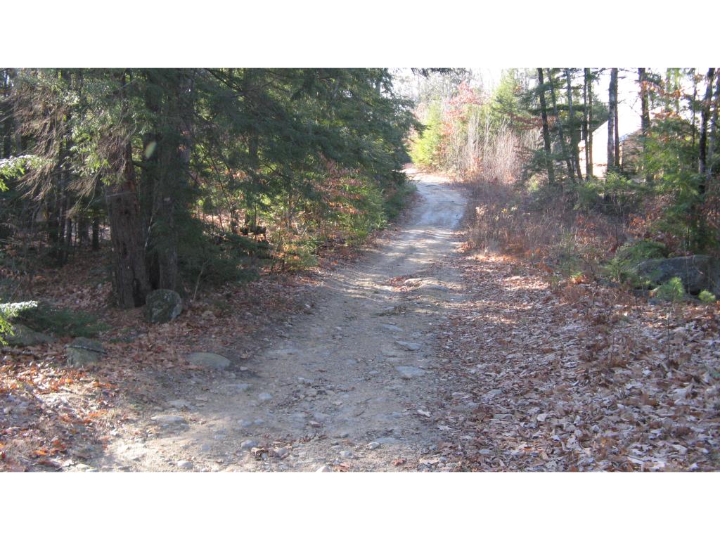Lot #37 Canfield Road Barnstead, NH 03225 - Photo 3 of 4