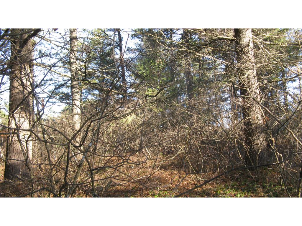 Lot #37 Canfield Road Barnstead, NH 03225 - Photo 4 of 4