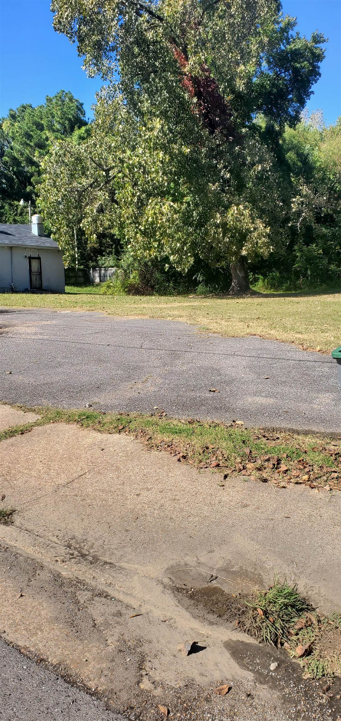 442 West Peebles Road Memphis, TN 38109 - Photo 3 of 3 a view of a yard with an ocean