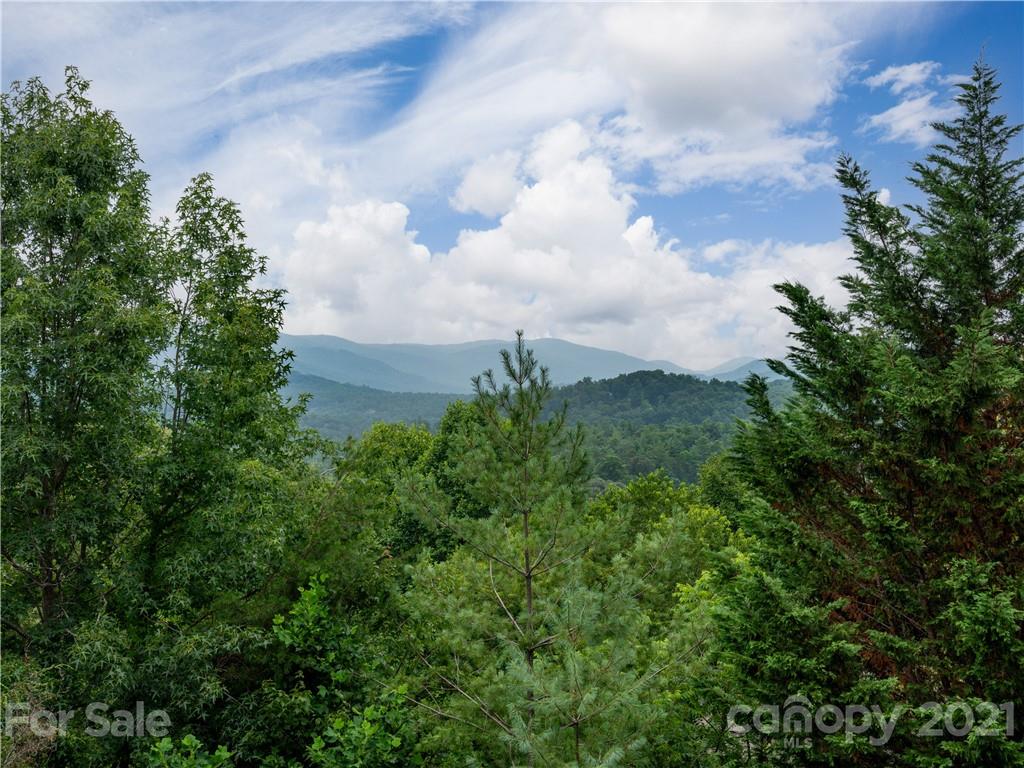 39 Fox Ridge Drive Fletcher, NC 28732 - Photo 28 of 48 Gallery Image 28