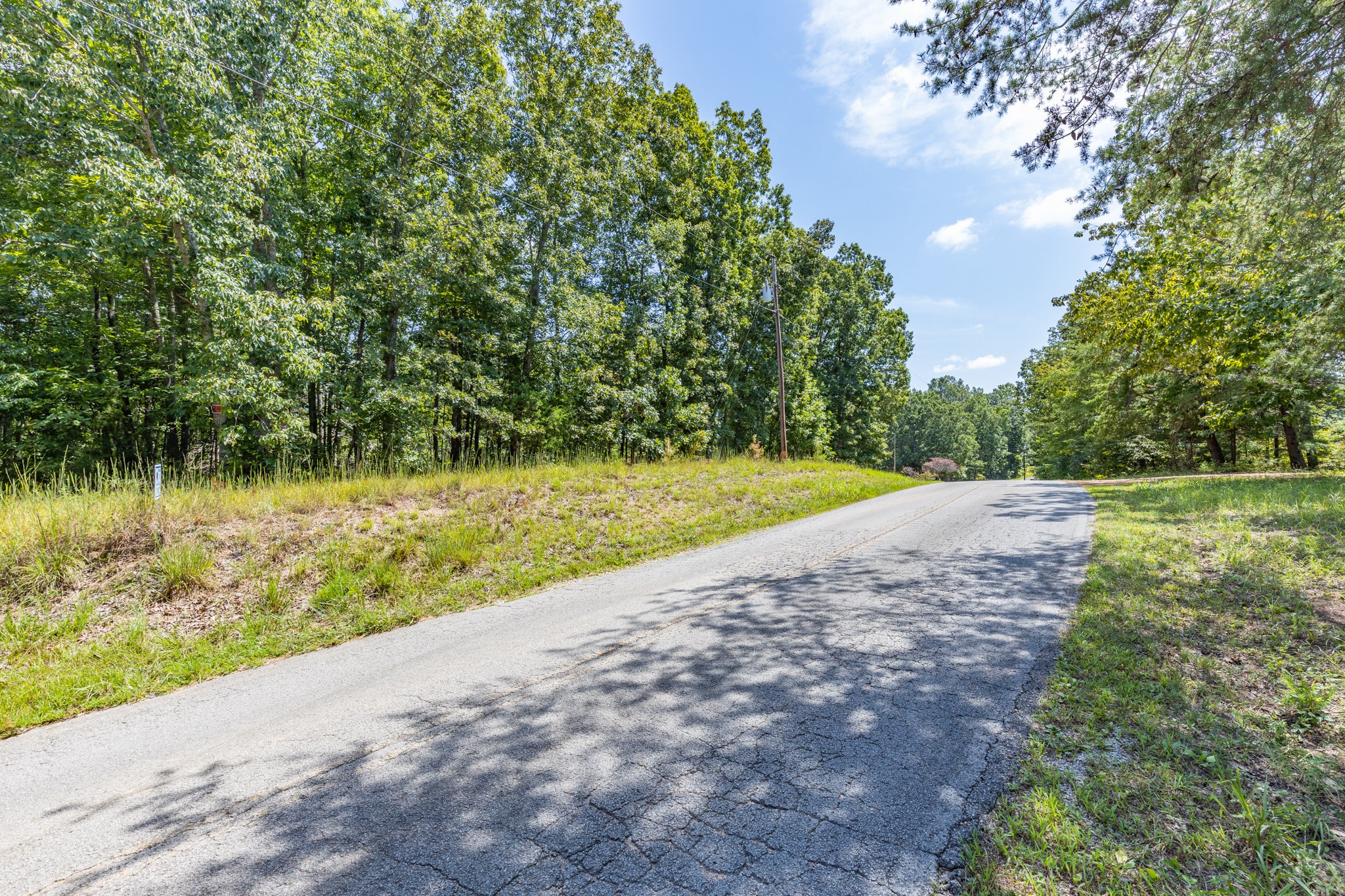 0 Ridgetop Road Hampshire, TN 38461 - Photo 11 of 72