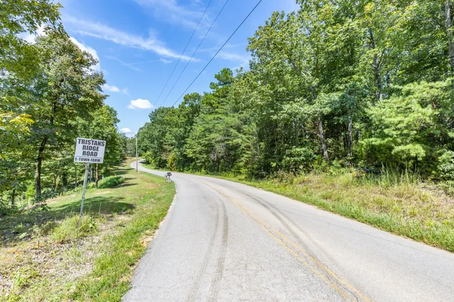 a view of a lush green space
