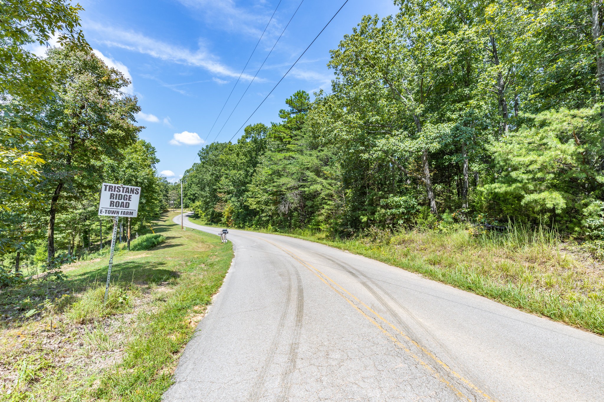 0 Ridgetop Road Hampshire, TN 38461 - Photo 12 of 72 a view of a garden