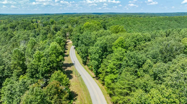 a view of a big yard with lots of green space and deers