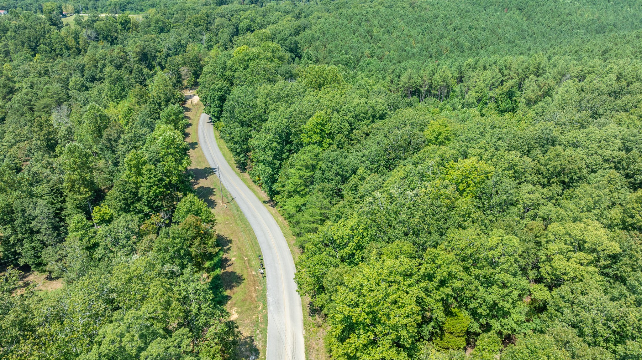 0 Ridgetop Road Hampshire, TN 38461 - Photo 14 of 72 a view of a forest with a street