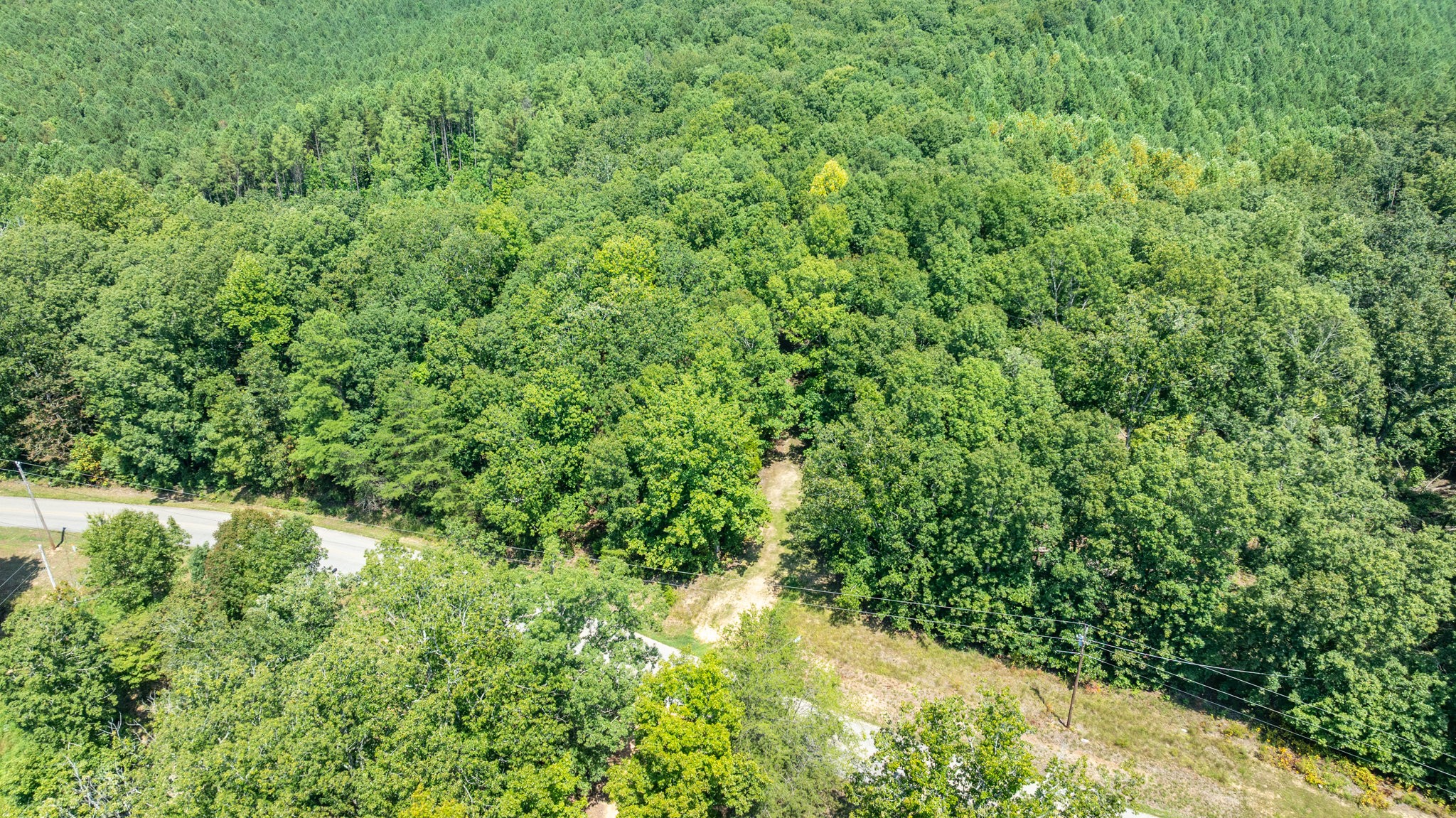 0 Ridgetop Road Hampshire, TN 38461 - Photo 15 of 72