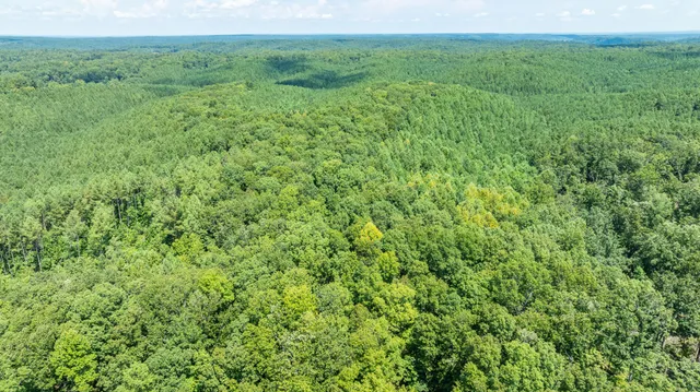 a view of a green field with lots of bushes