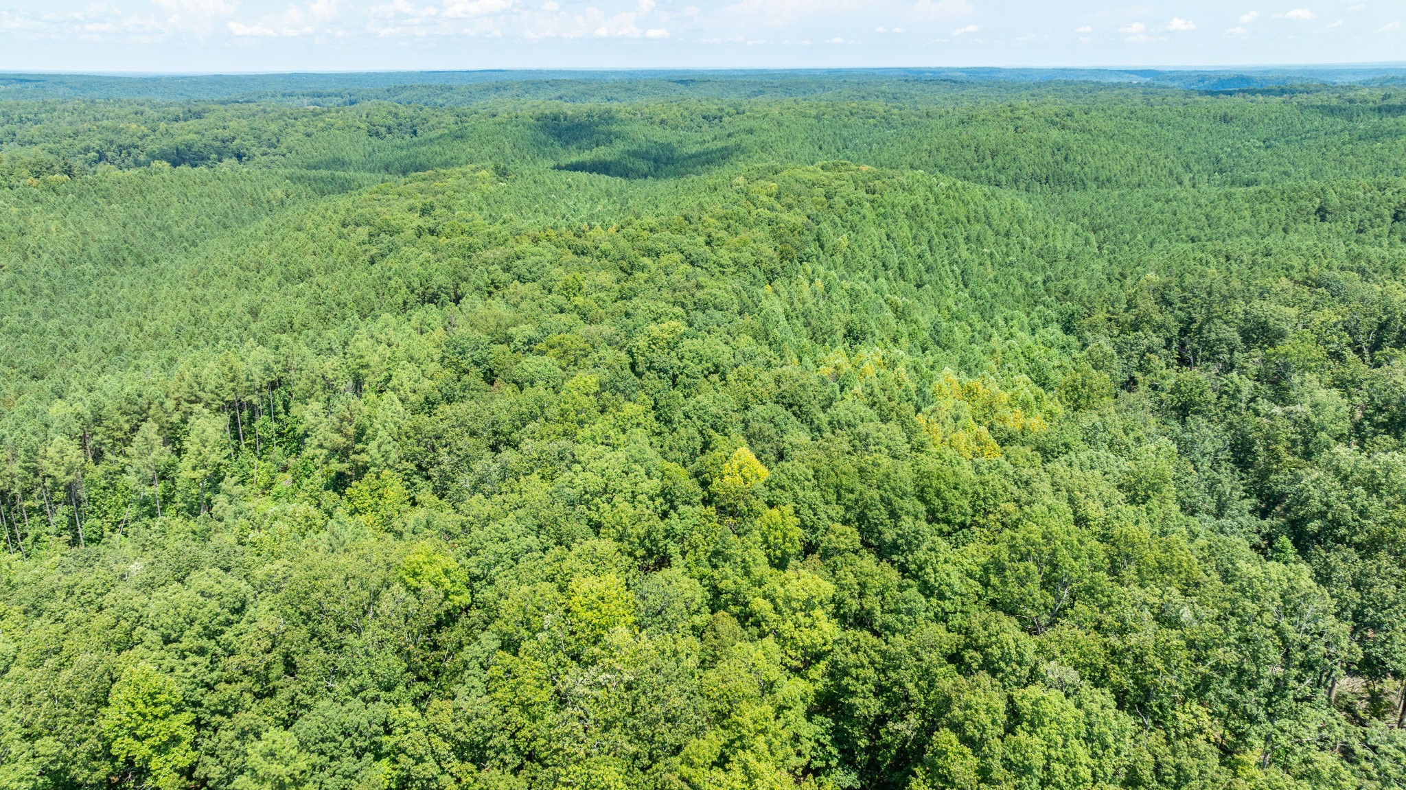 0 Ridgetop Road Hampshire, TN 38461 - Photo 16 of 72 a view of a lush green space