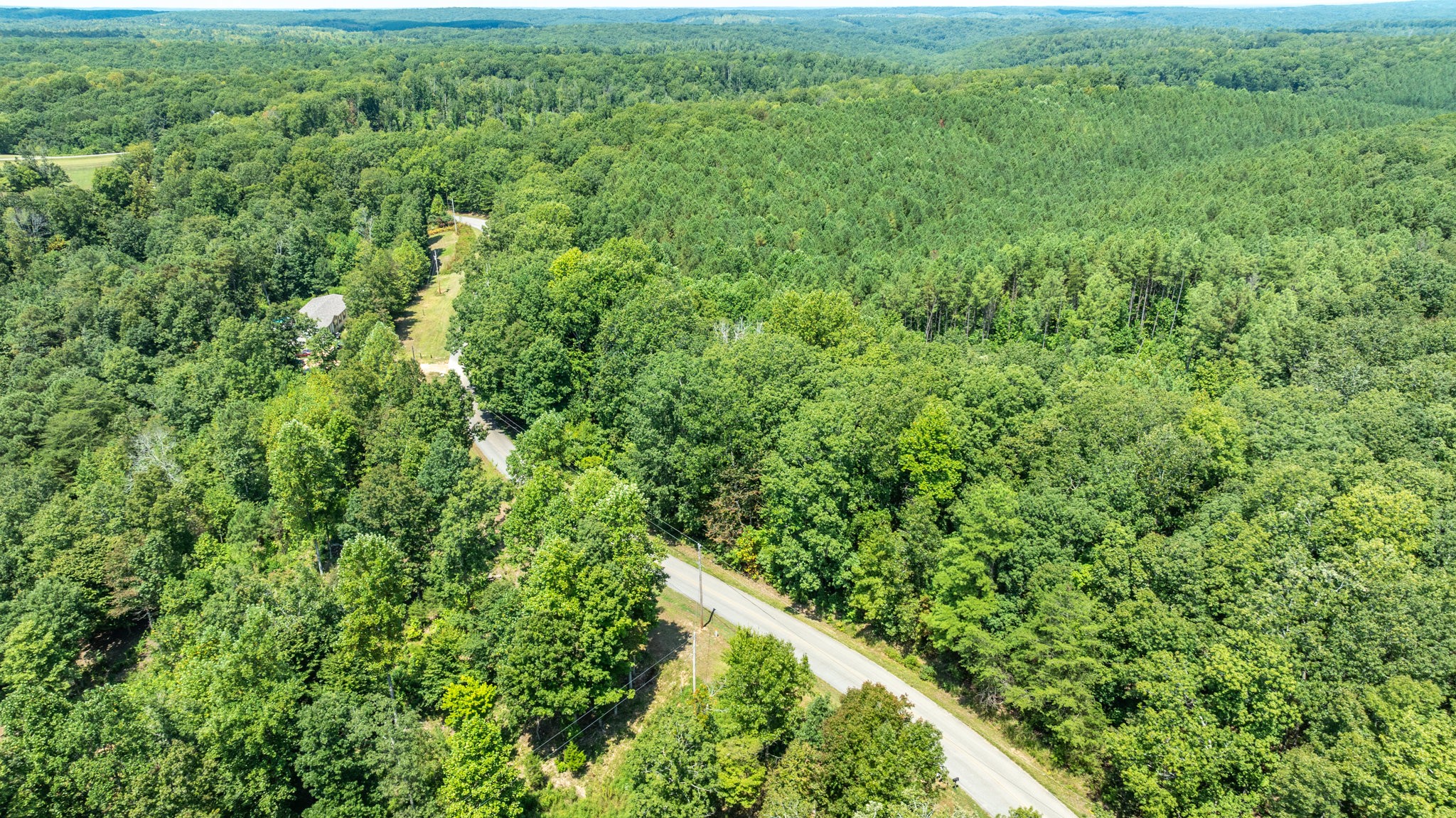 0 Ridgetop Road Hampshire, TN 38461 - Photo 17 of 72 a view of a lush green forest with lots of trees