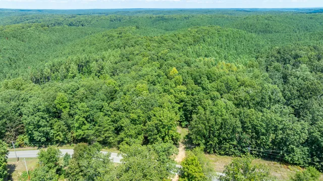 an aerial view of residential houses with outdoor space and trees