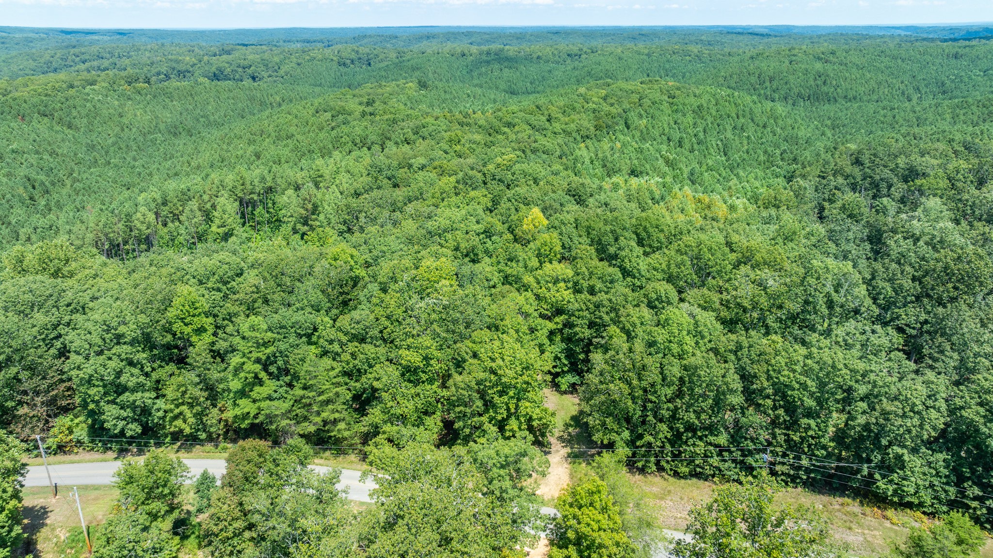 0 Ridgetop Road Hampshire, TN 38461 - Photo 18 of 72 a view of a lush green space