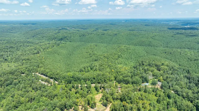 an aerial view of residential houses with outdoor space and trees