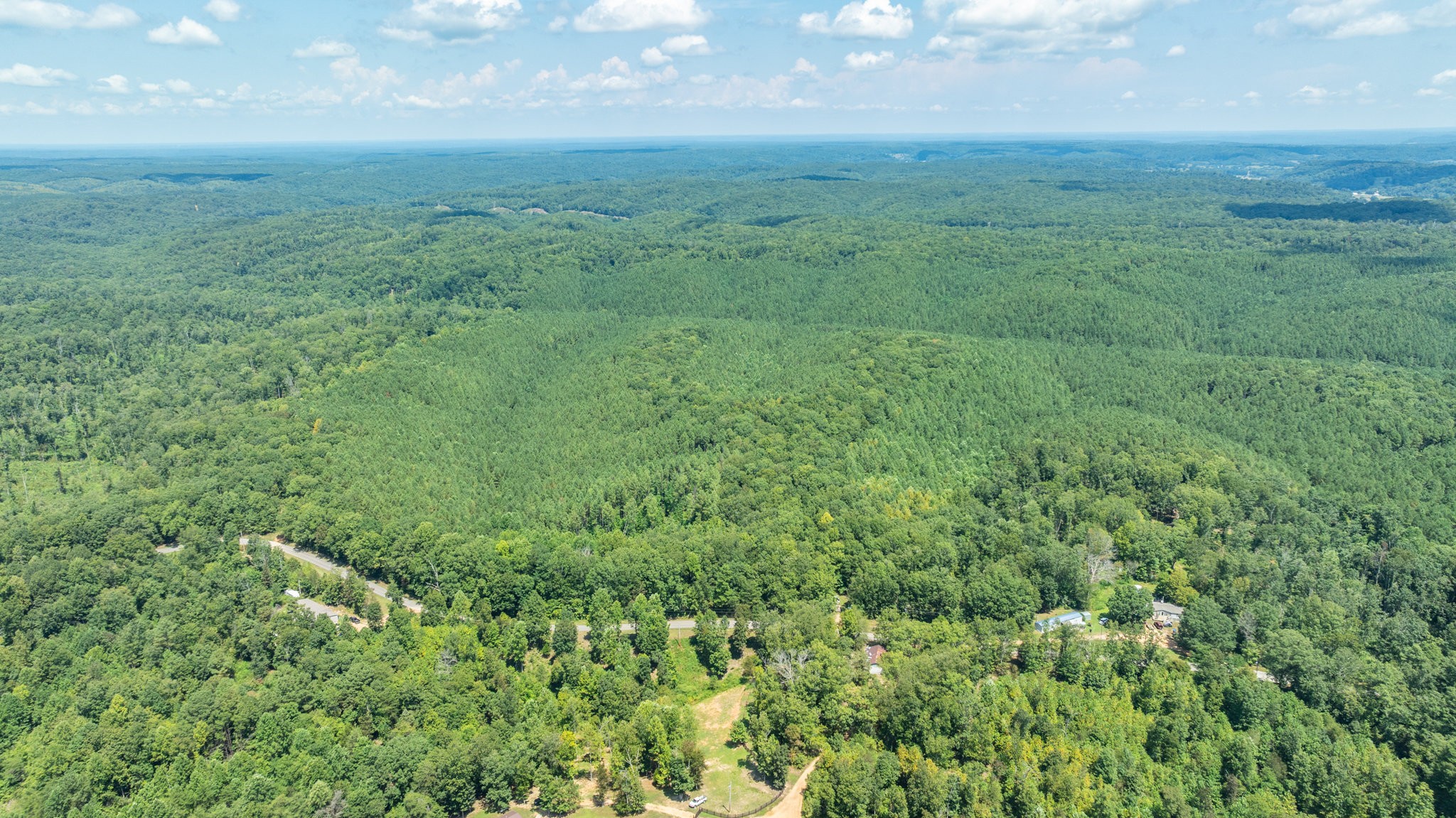 0 Ridgetop Road Hampshire, TN 38461 - Photo 19 of 72 a view of a big yard with lots of green space and deers
