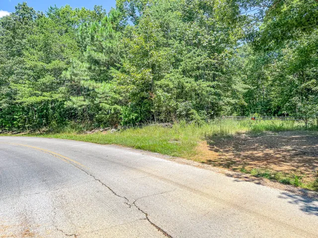 a view of swimming pool from a yard