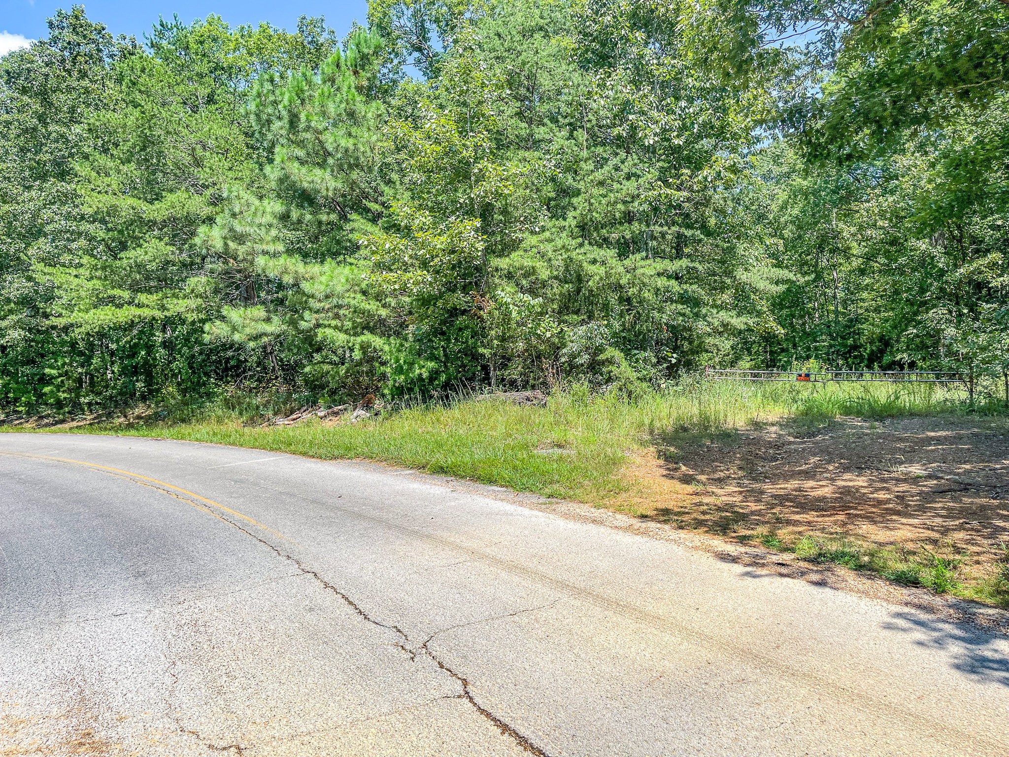 0 Ridgetop Road Hampshire, TN 38461 - Photo 2 of 72