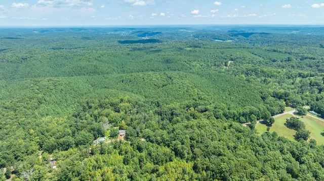 a view of a field of grass and trees